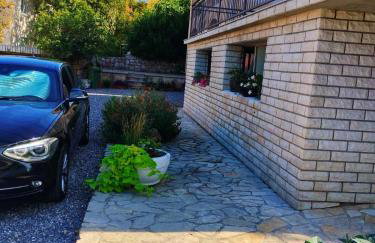 Dream In Green - Foto 55