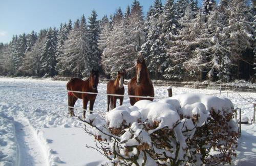 Heidehof Hellenthal - Foto 31