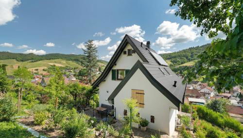 Haus Schwarzwald Königin - Foto 2, Garden, Garden view