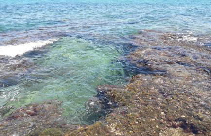 Villa Nenè - villa privata in riva al mare - Foto 26