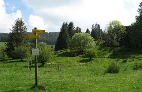 Grand appartement hyper centre haut standing - Foto 65