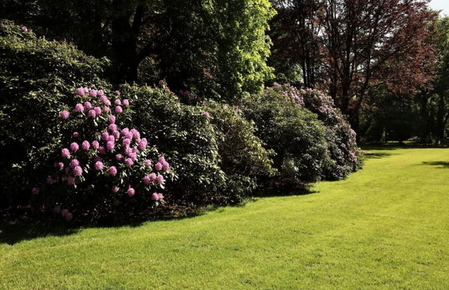 Modern Chalet With Nice Sliding Doors Near Lochem - Foto 24