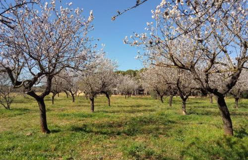 Area 340 Camper Park - Foto 13