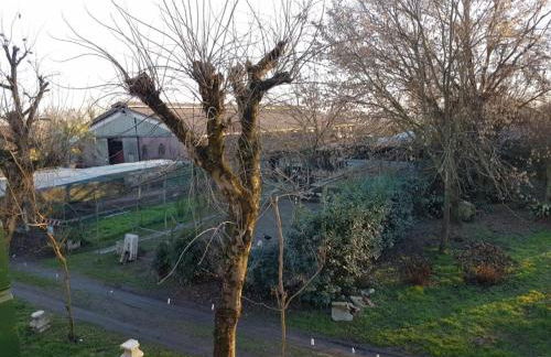 Agriturismo Villa Mocenigo - Photo 77