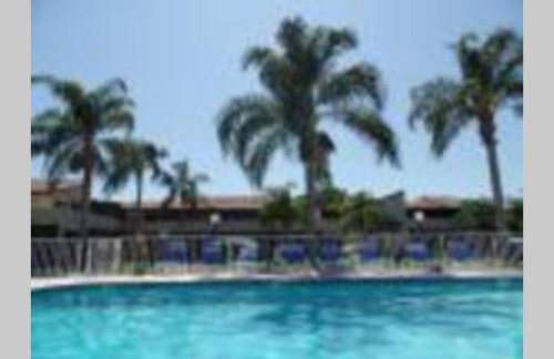 Florida Condos on Lake Tarpon - Foto 42