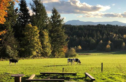 PETITE MAISON AU CALME AVEC VUE MAGNIFIQUE ! - Foto 11
