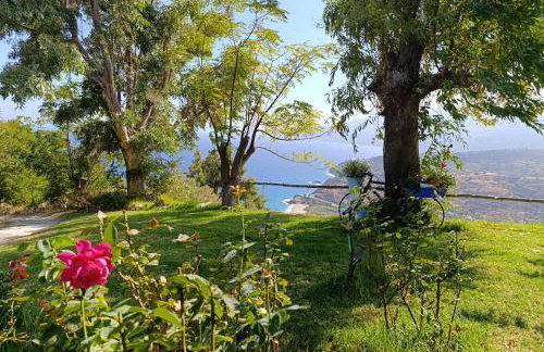 Panoramma Hause, Kampos Evdilou,Ikaria - Photo 7