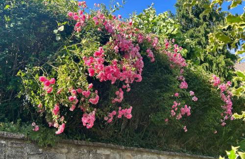 Villino Cecchini - Foto 29