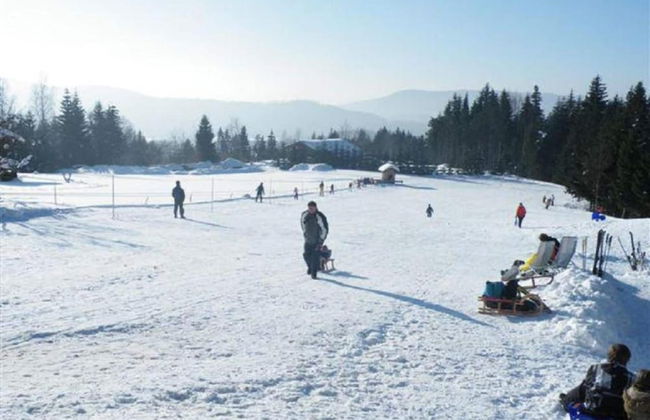 Ruhiges Ferienhaus in Drachselsried in Waldnahe - Foto 29
