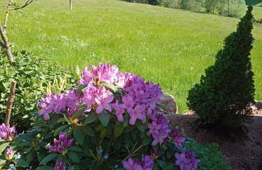 Urlaub auf dem Hänslehof - Foto 29