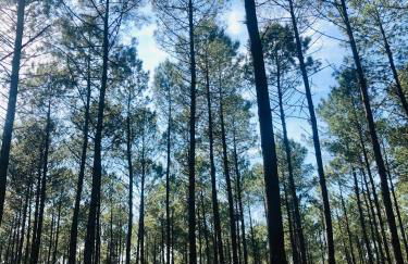 Villa Le Faré 10 min des plages - Climatisée - 8 Pers - Piscine Chauffée du 1er mai au 30 sept - - Foto 17