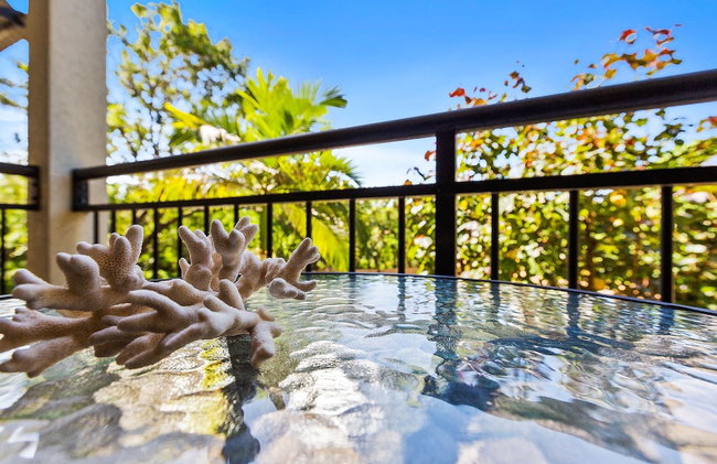 Palm View- 9 Pools BBQ Gym - Foto 19