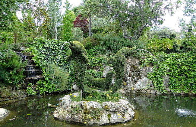 Enchanted Forest Tickets - Foto 10