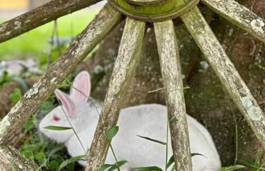 Quarto dos Vinhos - Foto 8