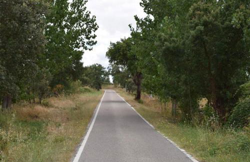 Casa da Aldeia by Portus Alacer - Foto 43