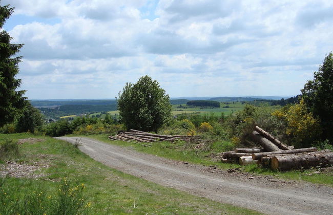 Hillside Cottage Near Winterberg - Foto 30