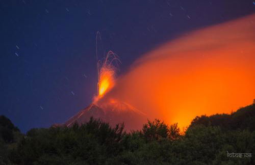 Ulivo Apartment - Foto 45