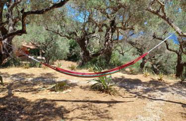 el paradiso - Foto 16