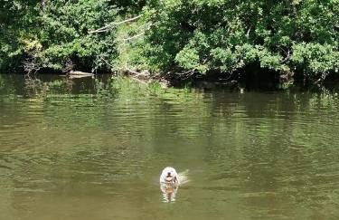 Ferienwohnung Julianna - Foto 21