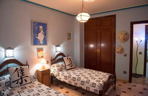 Alicante-Rental Alojamientos Turisticos CULTURAS Y COLORES EN ALMAGRO -Parking -Promocion EMPRESAS- - Foto 19