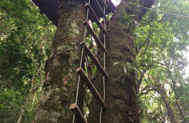 Pousada Recanto Primavera - Photo 40