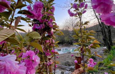 Agriturismo I Prati di Venere - Foto 20