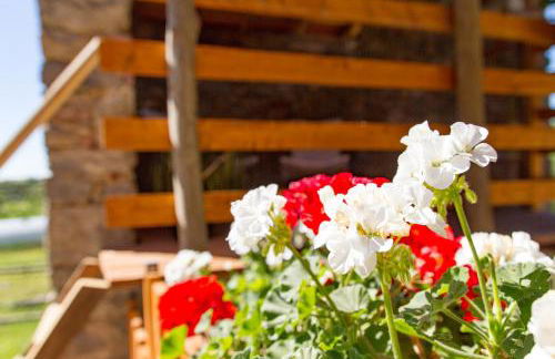 Cascinetta32 - Foto 15