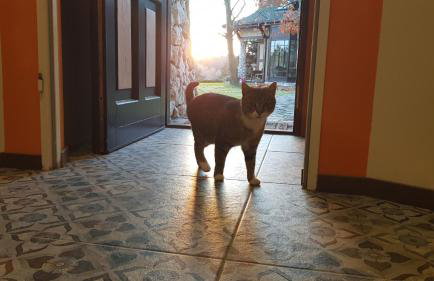 Apartament Podskalański - Foto 22