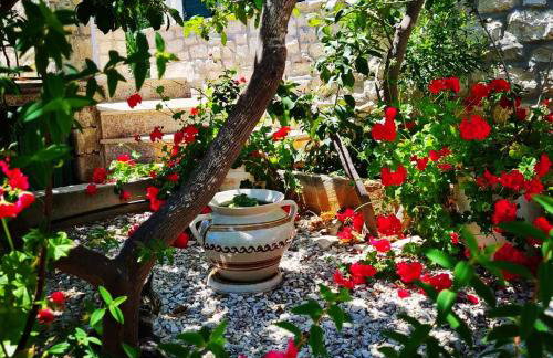 Apartmani Lada, Rogač, otok Šolta - Foto 52