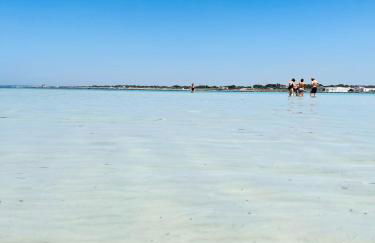 Tanza in Vetrina 2024 - Foto 59