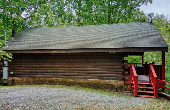 Mountain Laurel - Foto 33