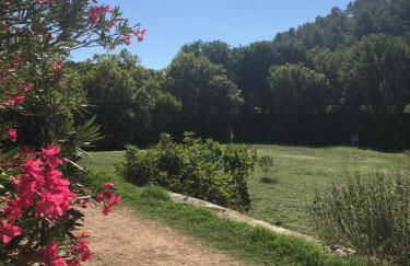 L'Olivier Fleurie Barjols - Foto 30