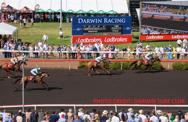 Hudson Parap - Foto 42