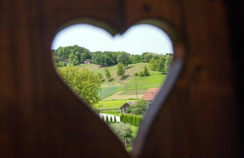 Vila Trnoružica - Foto 39