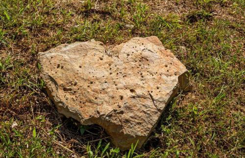 The Heartwood Hideaway-Charming Cabin Getaway-Trails, Creek, and Starry Nights - Foto 22