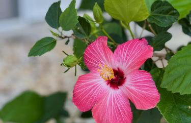 Paradise Home, Tranquil canal view 3-BDR in Golfers paradise - Foto 60