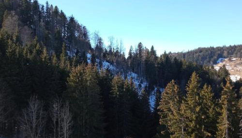 Appartement dernier étage au pied des pistes HIRMENTAZ - Foto 4