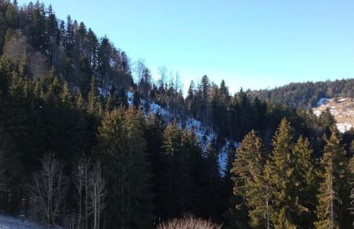 Appartement dernier étage au pied des pistes HIRMENTAZ - Foto 4