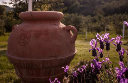 mulino della rivolta - Foto 42