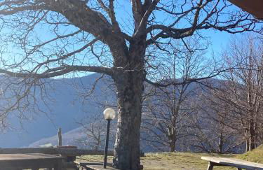 Casa Sperandini - Foto 80