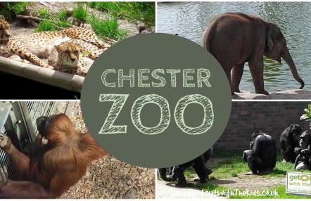 'The Cabin'. A cosy private & secure holiday home. - Foto 52