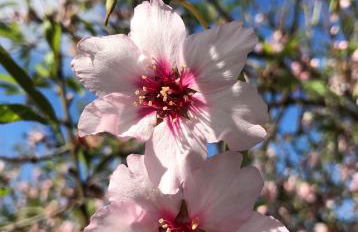 Casa Lucia - Foto 28