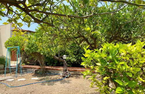 VIVIHOLIDAY - Foto 52