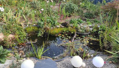 Ferienwohnung Gartenblick - Foto 4, Garden, Garden view