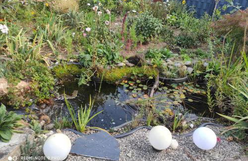 Ferienwohnung Gartenblick - Foto 4