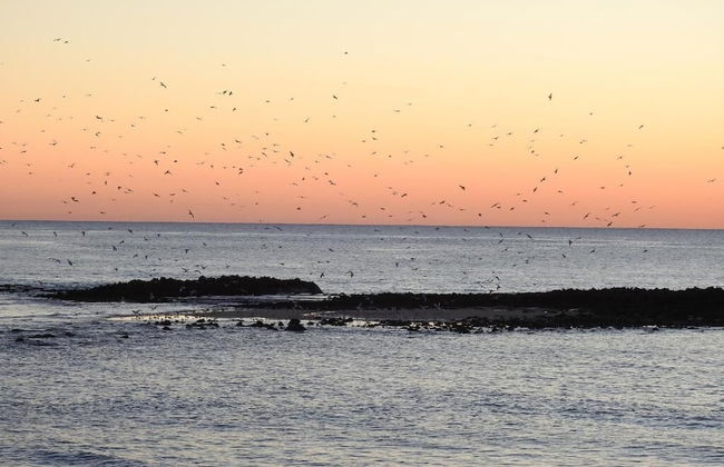 Madressilva house - Foto 22