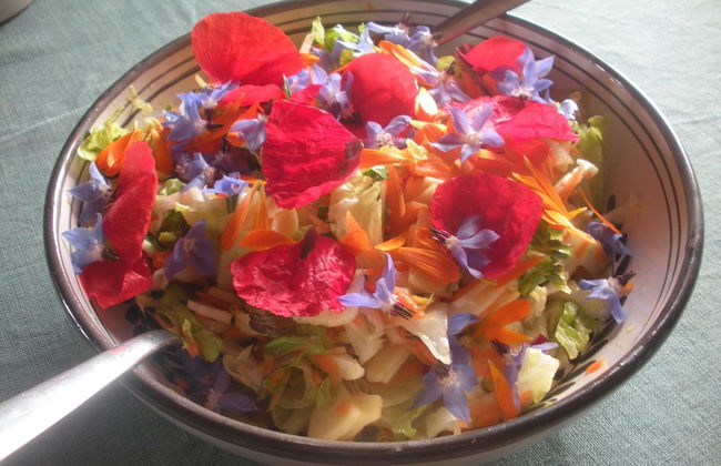 Casa del Geco - Foto 73