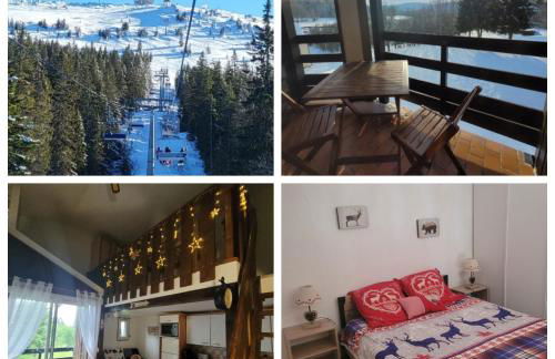 LE CHALET des 3 Sapins, Superbe Duplex Montagnard avec balcon, au calme - Les Rousses, Draps inclus & Parking gratuit - Foto 1