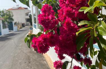 Studio Mare - Foto 14