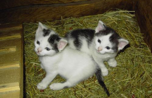 Gspoi-Hof - Photo 20